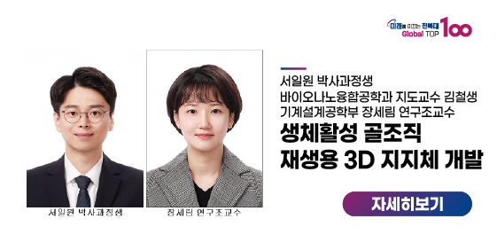 우리대학 연구진, 생체활성 골조직 재생용 3D 지지체 개발